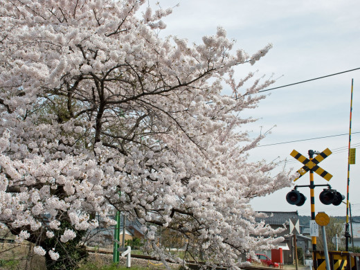 46346 (a): :1600x1200